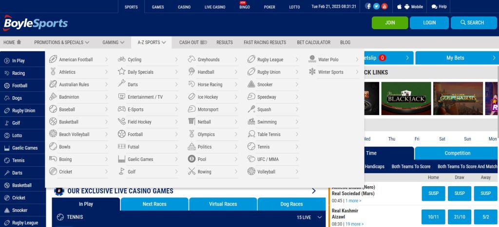 Boylesports Website Interface